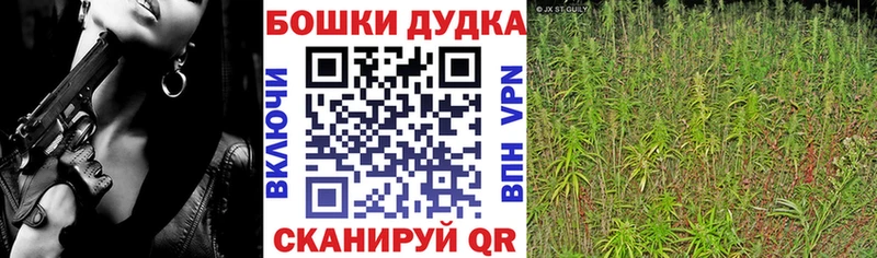 Виды наркоты Строитель Альфа ПВП АМФ Каннабис ГАШИШ