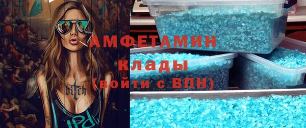хмурый Алексин