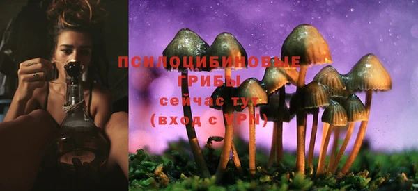 гидра Баксан