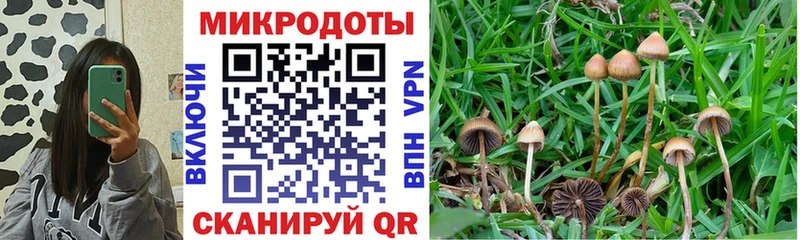 Псилоцибиновые грибы MAGIC MUSHROOMS  MEGA зеркало  Строитель 
